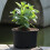 Pot de fleurs de jardinage grand format intérieur/extérieur 5