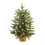 Pre-Lit Green Artificial Christmas Tree 18in 1