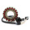 Statormagneet voor HiSUN UTV 4,5 inch 2015-2017 1