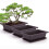 Jardinière rectangulaire violette effet sable avec trous de drainage 4