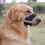 Dog Muzzle Adjustable for Medium to Large Breeds Orange 4