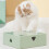 Feather Toy Replacements for Indoor Exercise 6 Pcs 7