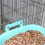 Baignoire pour perruches et petits oiseaux, cage fixée au mur 6