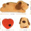 Puppy Toy with Simulated Heartbeat for Behavior Support 4