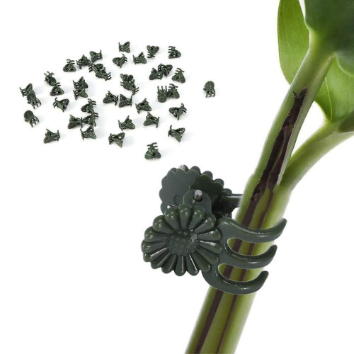 Orchid Clips Vertical Branch Stake 100-pack 2