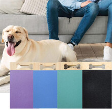 Hondenkrabblok voor Nagels met TraktatieboxSnackbox Krasbord voor Honden Hondennagelslijptrainer voor Grindnagels Groen