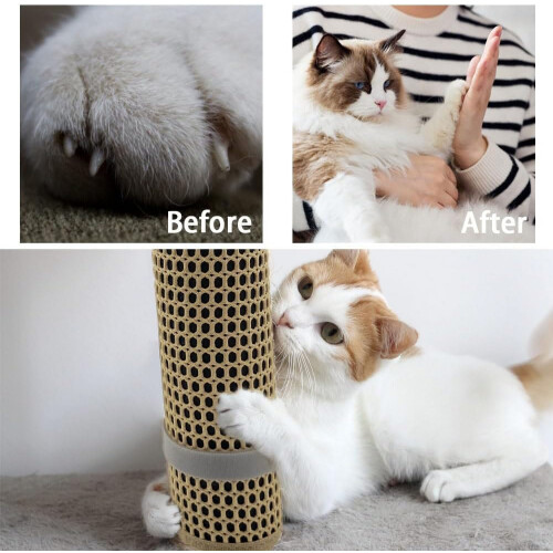 Cat nail file scratcher wrapped around scratching post 2