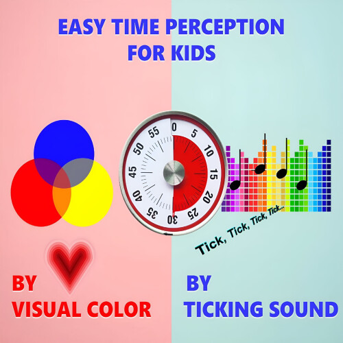 Visual Countdown Timer for Kids and Classroom 3.1 Inch 2
