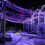 Purple Solar String Lights 16FT 50LED 8 Modes Waterproof 2