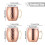 Kobberbelagt rustfrit stålglas 18oz 3