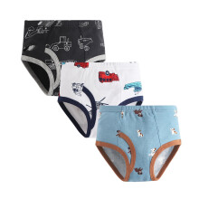 Boy's Underwear Briefs Cartoon Dog Print 3 Pack