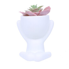 Mini maceta decorativa para escritorio.