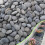 River Rocks harmaa puutarhakivi 1-2 tuumaa 18 LB 1