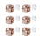Σκουλαρίκια μαγνητοθεραπείας Acupressure No-Punch3Pairs 1