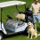 Golfvognssædebetræk Mikrofiber Universal 51x31 Tommer 8