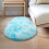 Soft Fluffy Bedroom Rug Oval Sky Blue 23.6x63 in 6