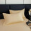 Premium pillowcase for king queen bed 2 pack 5