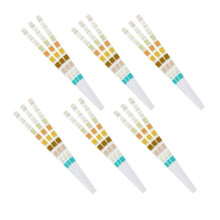 2000 Strips Urine Test Strip 10 Parameters
