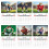Grappige voetbalkat wandkalender 2026 1