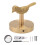 3X Brass Gold Animal Hook Solid Brass Coat Hook Door Back Hook Bathroom Kitchen Hooks Towel Rack(Bird) 3