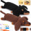 Crochet Kit for Beginners Dachshund 2 PCS 1