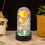 Rose Galaxy préservée sous dôme de verre avec éclairage LED 6