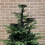 Black Triple Tree Topper for Christmas Candelabra 1PC 6