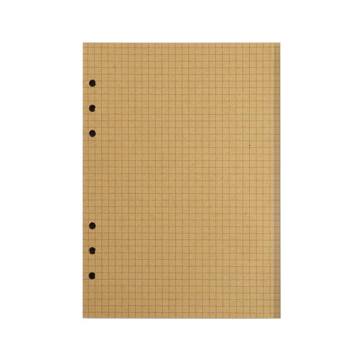 Papier ligné horizontal rechargeable, 6 trous, 5 feuilles