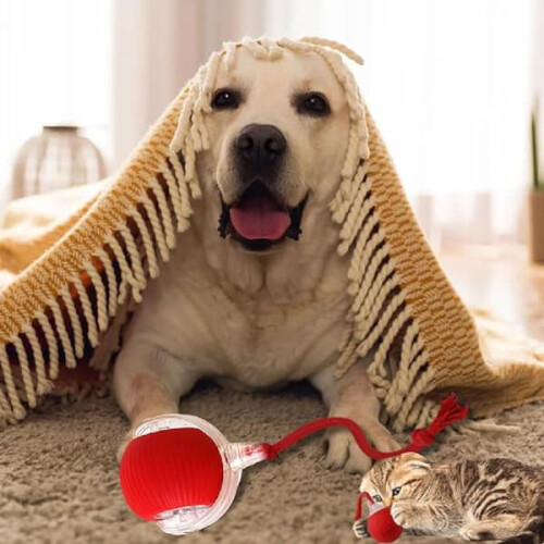 Smart Cat Ball Toy Automatic Rolling Electric Gray 1