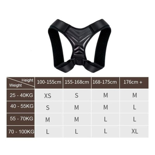 Backrest for Better Posture M 2