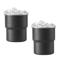 Verres à bière en acier inoxydable, 30 cl (lot de 2),