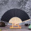 Hand Fan Silk Lace Folding Fan Solid Color 1