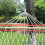 Wooden Stick Hammock Cotton Linen Mesh Single 4