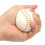 Foam Stress Ball Baseball White 2