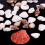 Assorted beach seashells mix 100g 3