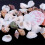 Assorted beach seashells mix 100g 4
