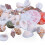 Assorted beach seashells mix 100g 5