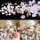 Assorted beach seashells mix 100g 8