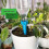 Flower Waterer Automatic Sprinkler 4-Pack 3