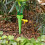 Flower Waterer Automatic Sprinkler 4-Pack 4
