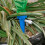 Flower Waterer Automatic Sprinkler 4-Pack 7