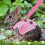 Rabbit Vest Harness and Leash Set Adjustable Soft Suit 3