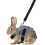 Rabbit Vest Harness and Leash Set Formal Suit Style 6