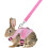 Rabbit Vest Harness and Leash Set Formal Style Adjustable 5