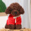 Braunes Teddyhund-Plüschtier, 20 cm 5