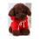 Braunes Teddyhund-Plüschtier, 20 cm 6