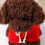 Braunes Teddyhund-Plüschtier, 20 cm 7