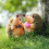 Hedgehog Plush Toy Soft Stuffed Animal 2 Pieces 7