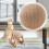 Cat scratching ball claw-resistant interactive toy 20 cm 8