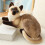 Siamese Cat Plush Toy Soft 25 cm 2